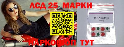 стафф Будённовск