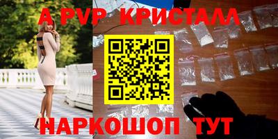 стафф Будённовск