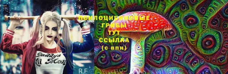 даркнет сайт  Великий Устюг  Псилоцибиновые грибы Cubensis 