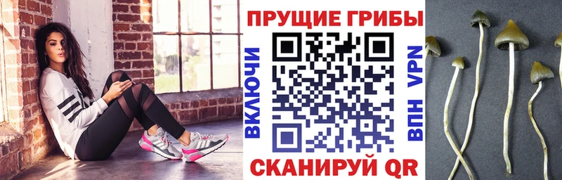 наркотики Великий Устюг kraken зеркало Псилоцибиновые грибы мухоморы