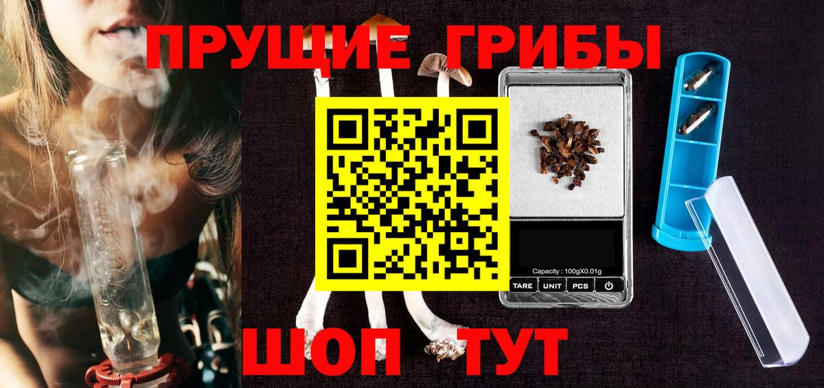 Псилоцибиновые грибы мицелий Великий Устюг