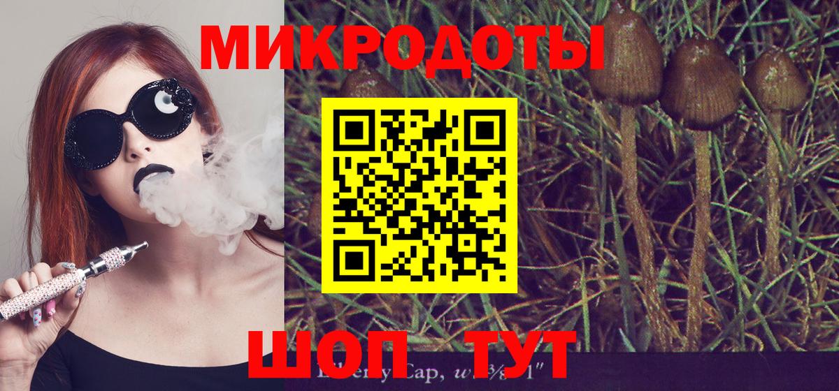Псилоцибиновые грибы Magic Shrooms  Вход с VPN  Великий Устюг 